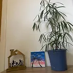 アパート Palms フレッヒェン