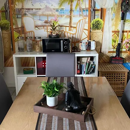 Palms * フレッヒェン