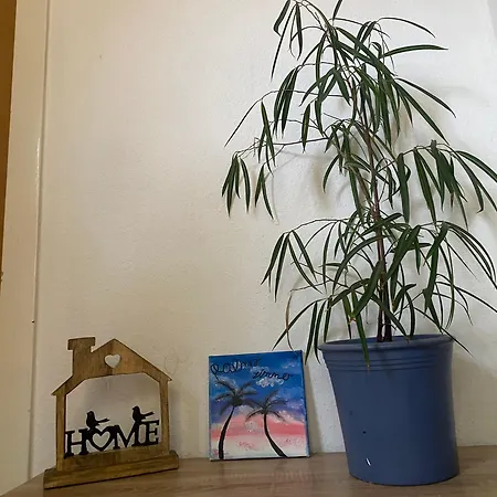 Διαμέρισμα Palms Φρέχεν